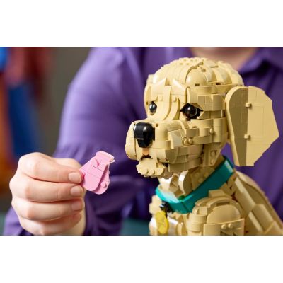 11. LEGO 11384 Icons - Szczeniak golden retriever