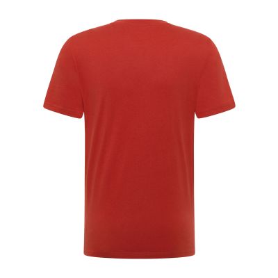6. Mustang męska koszulka t-shirt AUSTIN 1017772 7113