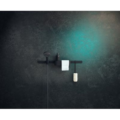2. Hansgrohe 24110670 bez kategorii