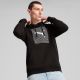 3. Bluza Puma Ess Logo Lab Hoodie FL M 684669 01
