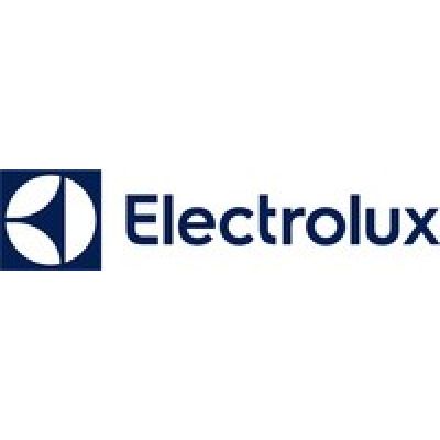 Odkurzacz cyklonowy ELECTROLUX EL31C2OG