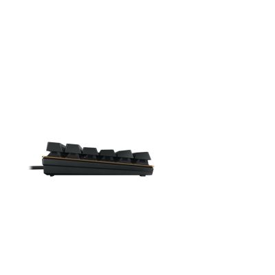 4. CHERRY KC 200 MX klawiatura Uniwersalne USB QWERTZ Niemiecki Czarny, Brąz