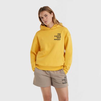 3. Bluza O'Neill Future Surf Society Hoodie W 92800613435