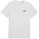 2. Koszulka męska Puma ESS Small No.1 Logo Tee(s) jasnoszara 682535 05