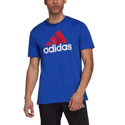 3. Koszulka adidas Essentials Big Logo Tee M H12174