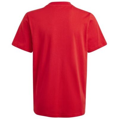 2. Koszulka adidas Big Logo Tee Jr IJ6262