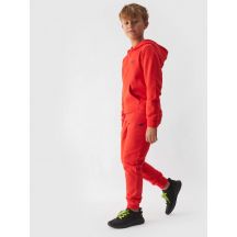 Spodnie dresowe 4F Jr 4FJWMM00TTROM0811-70S