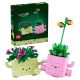LEGO 11506 Botanicals - Bujające się roślinki