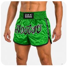 Spodenki tajskie męskie PASTEL GREEN V2 COMBATWEAR | DBX Bushido
