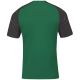 Koszulka piłkarska Joma Academy IV Sleeve 101968.451