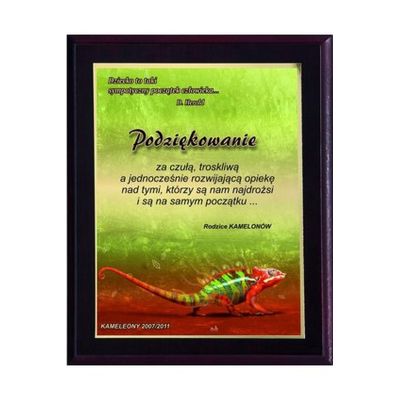 4. Dyplom z tworzywa sztucznego z laminatem  colour touch