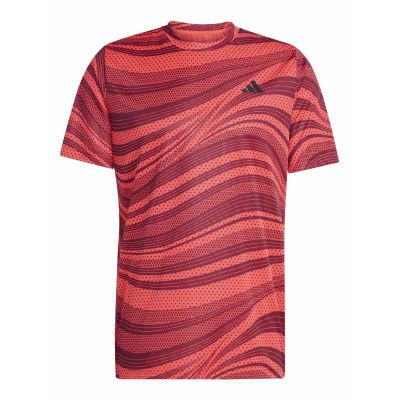 Koszulka adidas Club Graph Tee M JE0407
