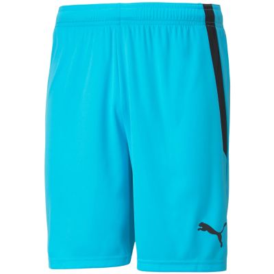 Spodenki Puma teamLIGA M 704924 40