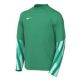 Koszulka bramkarska Nike Junior Dri-FIT Park V HV8318-324