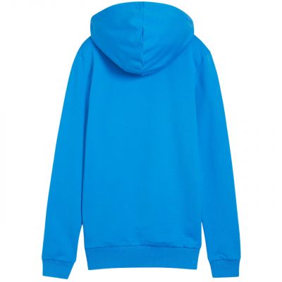 2. Bluza Puma Team Goal Casuals Hoody W 658621 02