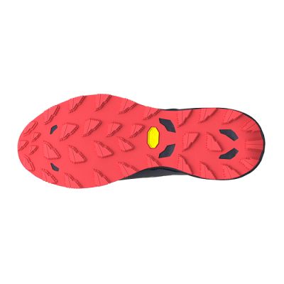9. Buty Mizuno Wave Daichi 9