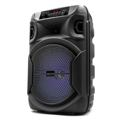 5. SQUEAK GŁOŚNIK KARAOKE PULSETOWER BLUETOOTH 5.3, RADIO FM, MICROSD, AUX, USB SQ1006