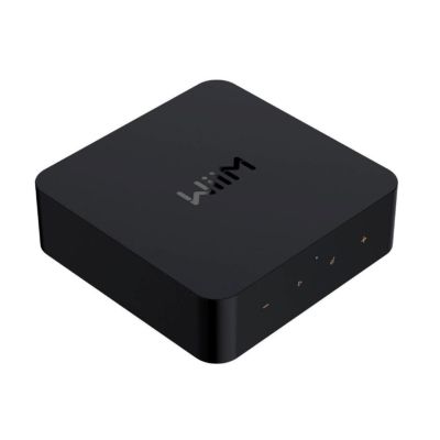 3. WiiM Pro Plus - Odtwarzacz sieciowy
