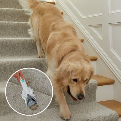 8. Shark ODKURZACZ PX200EUT