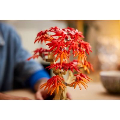 20. LEGO BOTANICALS 10348 Klon Palmowy Bonsai
