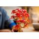 20. LEGO BOTANICALS 10348 Klon Palmowy Bonsai