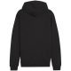 6. Bluza Puma Team Goal Casuals Hooded M 658595 03