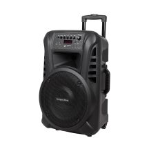 Aktywna kolumna głośnikowa (z 2 mikrofonami bezprzewodowymi UHF, SD, Bluetooth, FM, USB) 40 Watt