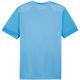 2. Koszulka Puma teamGoal Matchday Jersey M 705747 18