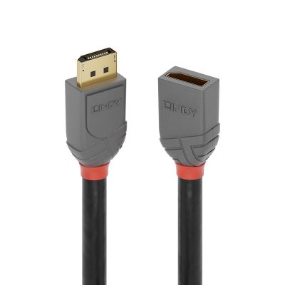 2. Lindy 36498 kabel DisplayPort 3 m Czarny