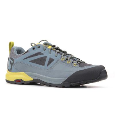 10. Buty Salomon X Alp SPRY GTX M 401621