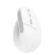 6. Mysz Trust BAYO II ERGONOMIC WIRELESS White