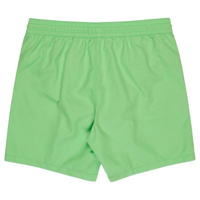 2. Billabong All Day Layback 16" Shorts EBYJV00134-GGJ0 Zielone L
