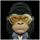 6. Etui Nimmy Cool&Cute 2.0 Gorilla na iPhone 17 Pro - czarne