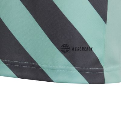 6. Koszulka adidas Entrada 22 Graphic Jersey Jr HF0127