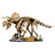 32. LEGO Jurassic World 77985 - Szkielety dinozaurów: Triceratops