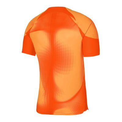 2. Koszulka bramkarska Nike Dri-FIT ADV Gardien 4 M DH7760-819