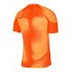 2. Koszulka bramkarska Nike Dri-FIT ADV Gardien 4 M DH7760-819