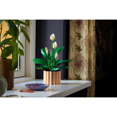 18. LEGO Botanical 11504 Skrzydłokwiat w doniczce