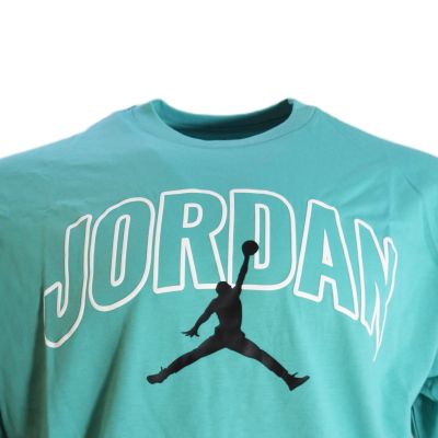 7. Koszulka męska Air Jordan Brooklyn Arch Logo T-shirt Washed Teal - IB7347-392