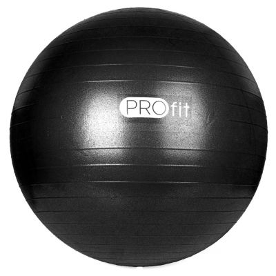 91. Piłka gimnastyczna PROfit 55cm z pompką DK2102