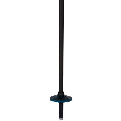 5. Kije narciarskie ROSSIGNOL Electra Premium Carbon - czarno niebieski