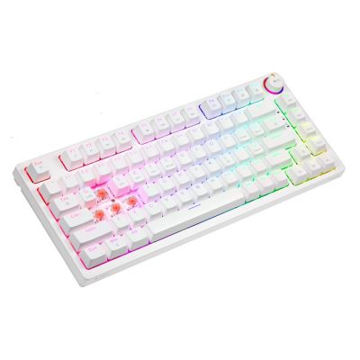 7. SAVIO KLAWIATURA MECHANICZNA BEZPRZEWODOWA PHENIX WHITE GATERON RED PRO ABS