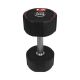37. Hantel Body Sculpture TPU BW 133 12 KG