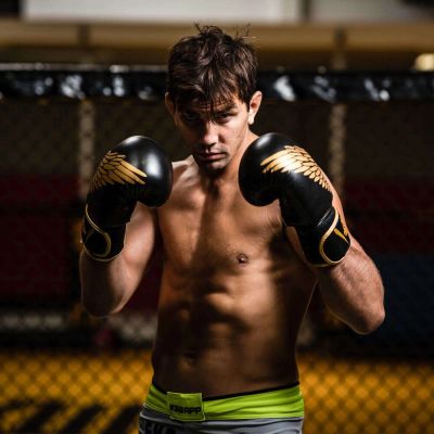 9. Rękawice bokserskie 8oz - Hawk - Origin Series