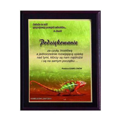 5. Dyplom z tworzywa sztucznego z laminatem  colour touch