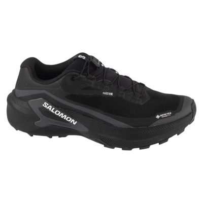 Salomon Genesis 2 GTX L49300300 Czarne 41 1/3