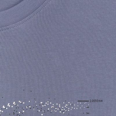 11. Koszulka męska 4F M2359 denim 4FWAW25TTSHM2359 32S