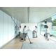 17. Dyson Cinetic Big ball Absolute 2 0,8 l Cylinder próżniowy Suchy 700 W Bez worka