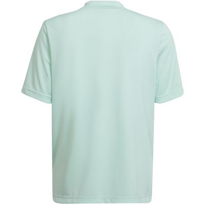 Koszulka adidas Entrada 22