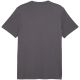 2. Koszulka męska Puma ESS Small No.1 Logo Tee(s) szara 682535 77